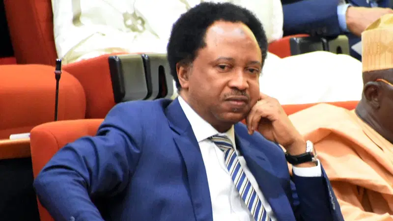Travel Bans And Deportations: Shehu Sani’s Warning To Nigerians