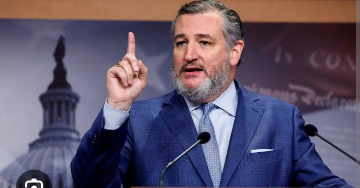 Senator Ted Cruz Outlines Next Move Following Trump’s CPC Labeling Of Nigeria