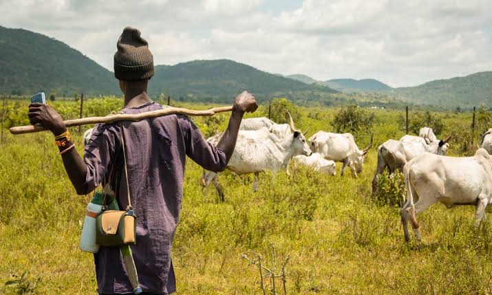 Nigerians Renew Calls For Open Grazing Ban As Herders and Farmers Clashes Claim More Lives