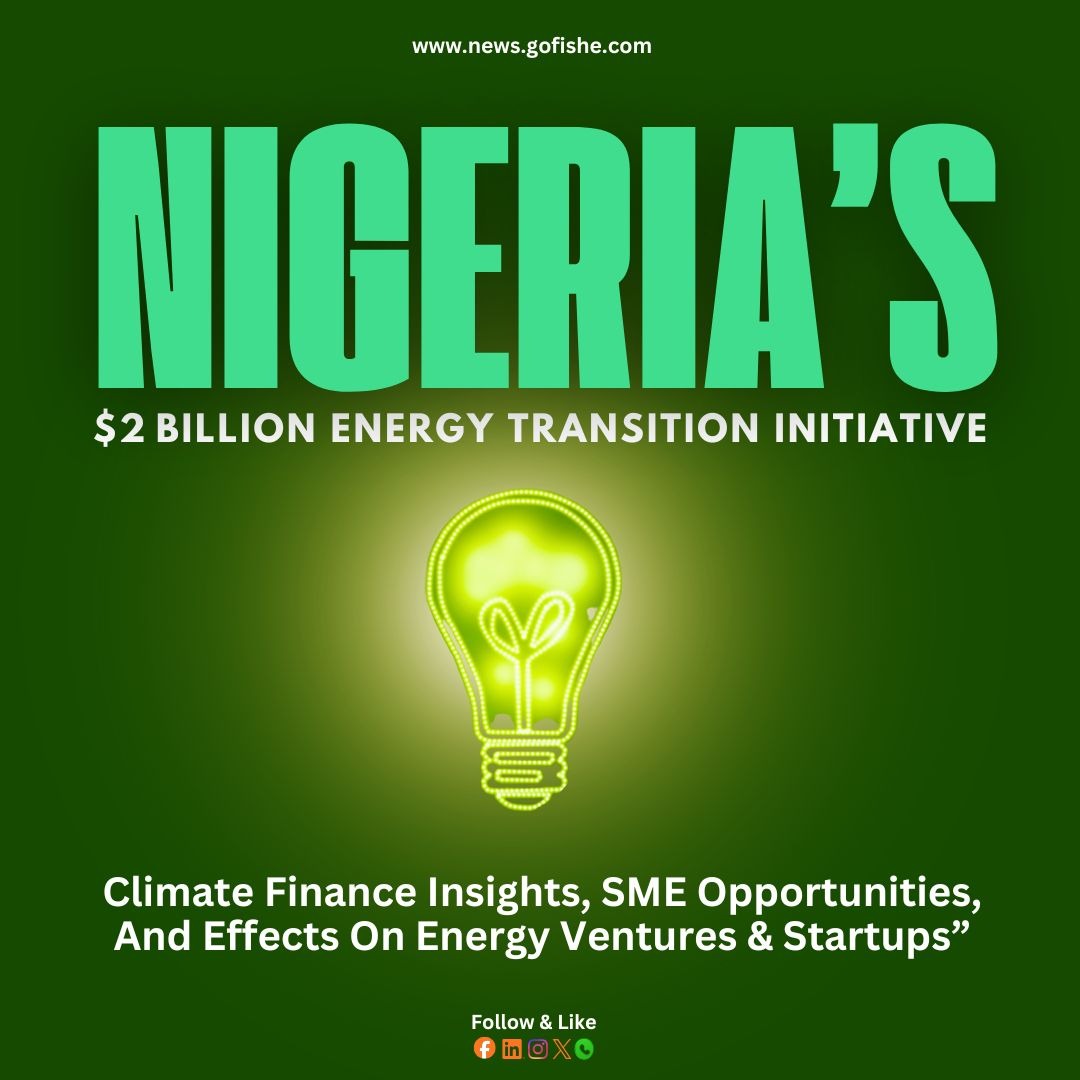 “Nigeria’s $2 Billion Energy Transition Initiative: Climate Finance Insights, SME Opportunities, And Effects On Energy Ventures & Startups”