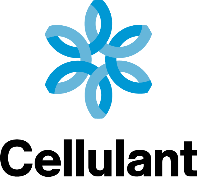 Cellulant Strengthens Operations With Key COO Hire